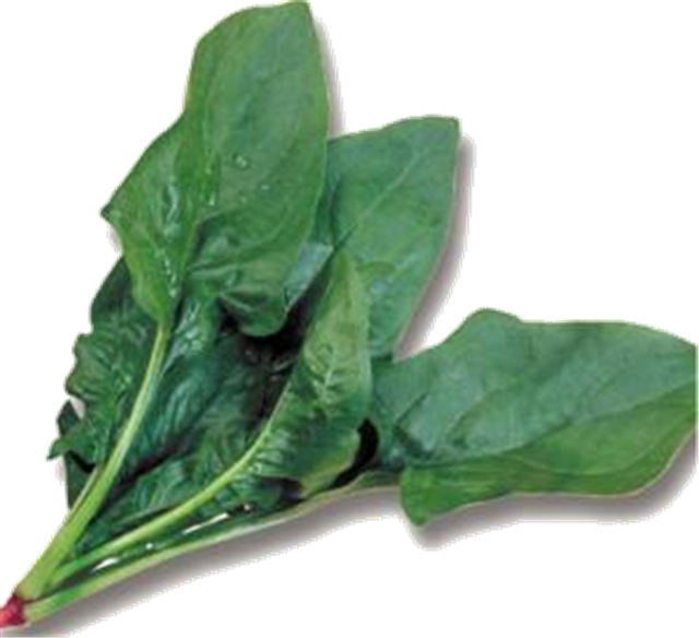Espinacas