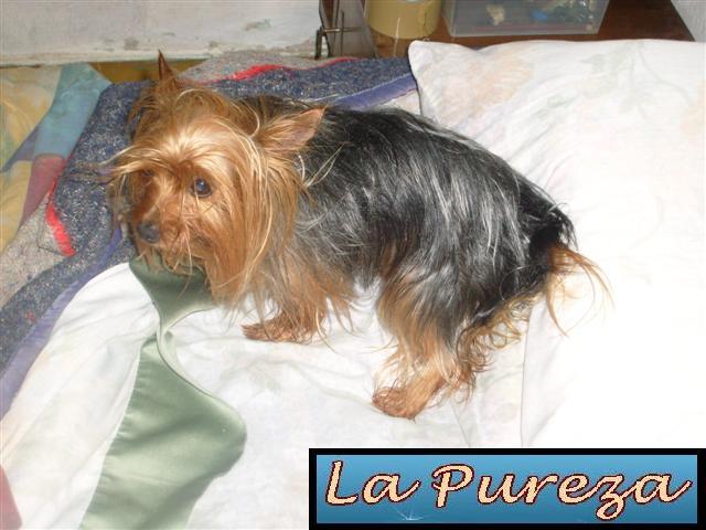 Athos - Despues del Ba&ntilde;o