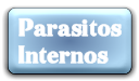 Cargar Pagina De Parasitos